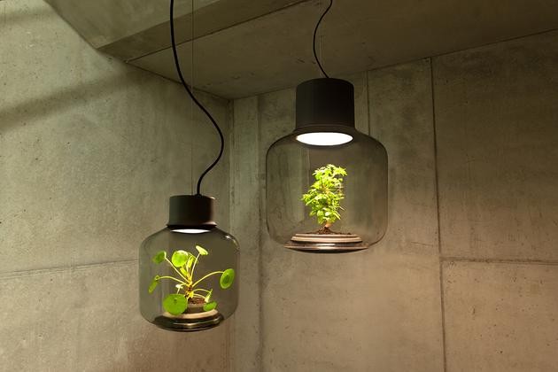 將植物放在一款密閉的LED燈具中能持續(xù)生長(zhǎng)嗎？